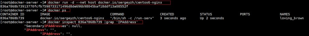 docker容器停止之后 es数据丢失 docker意外停止_nginx_21