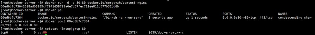 docker容器停止之后 es数据丢失 docker意外停止_docker停止容器后配置_25