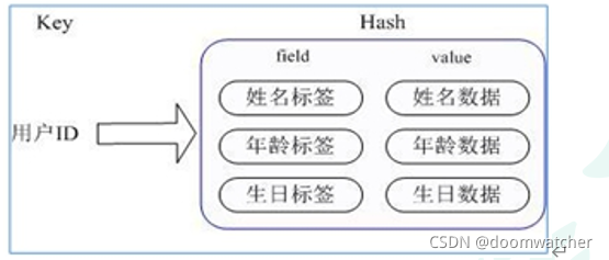 Redis数据类型byte array redis6数据类型_redis_04