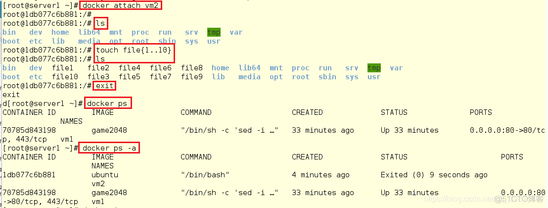 docker下载镜像 系统找不到指定的文件 docker镜像导入找不到_ubuntu_41