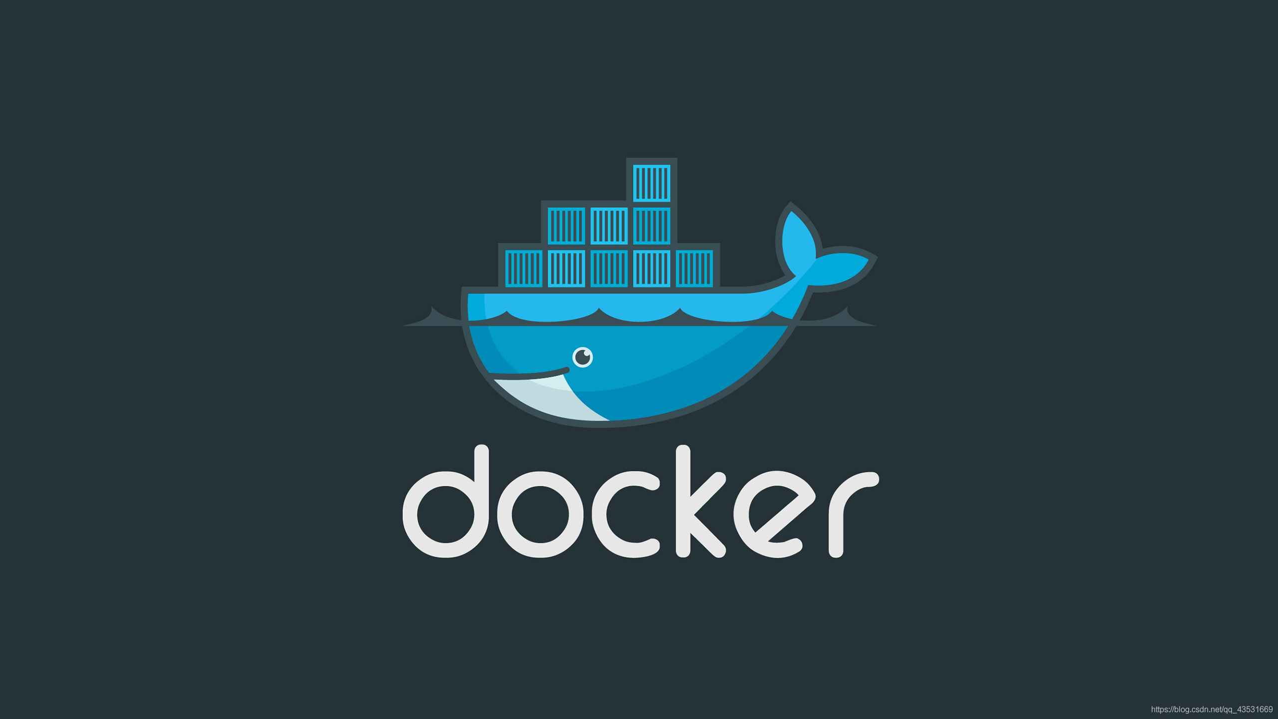 docker容器运行引用 curl 无影响 docker容器运行时_Docker