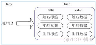 redissionclient增加 redis新增_redissionclient增加_04