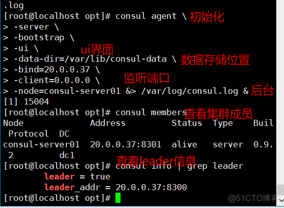 docker 启动时读取环境变量 docker启动consul_consul_04