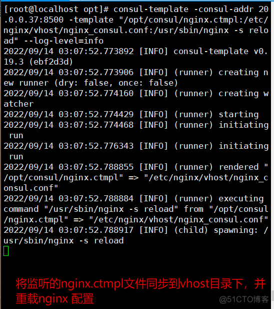 docker 启动时读取环境变量 docker启动consul_docker_12