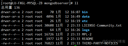 linux mongodb 进入 linux设置mongodb开机自启动_linux_04