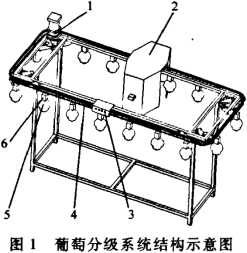 bp神经网络预测水果成熟度模型MATLAB代码 水果成熟度检测原理,bp神经网络预测水果成熟度模型MATLAB代码 水果成熟度检测原理_人工智能_02,第2张