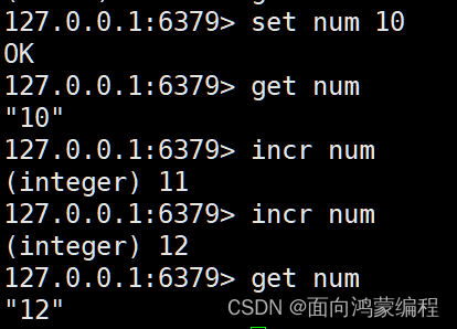 查看redis值 命令 查看redis里面的数据_java_12