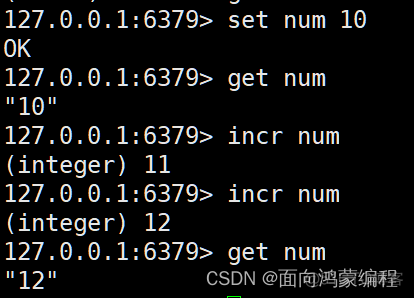 查看redis值 命令 查看redis里面的数据_java_12