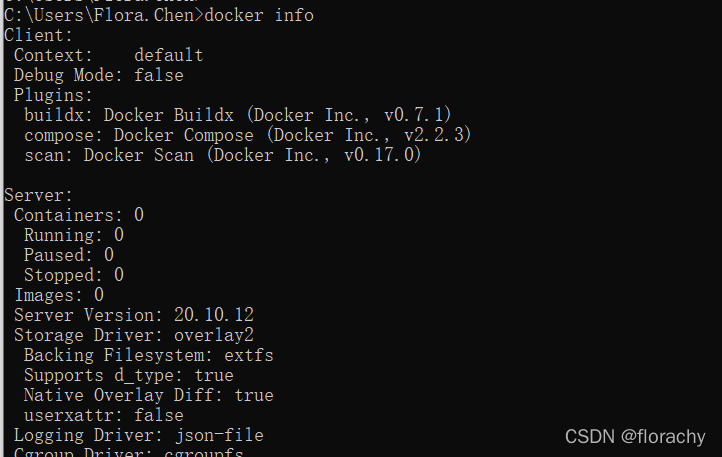 docker run提示找不到docsify命令 docker找不到容器_Jenkins_13