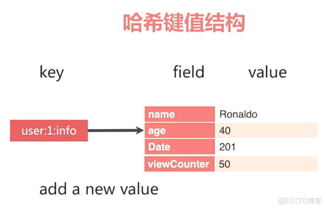 redission官方文档 中文 redis api 中文文档_redission官方文档 中文