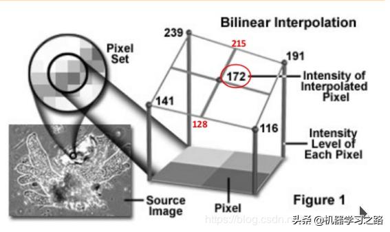 PYTHON多段插值计算 python插值算法_python三次样条插值拟合的树行线_19