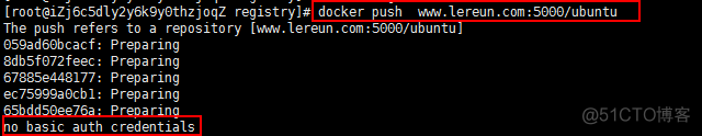 docker取证 docker registery_nginx_17