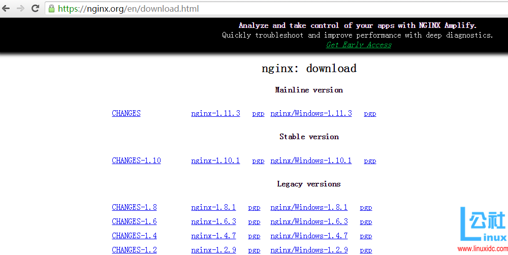 安装nginx后集成Java程序 nginx1.20安装_Nginx