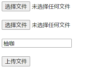 ios form表单上传文件 form提交表单上传图片_表单_02