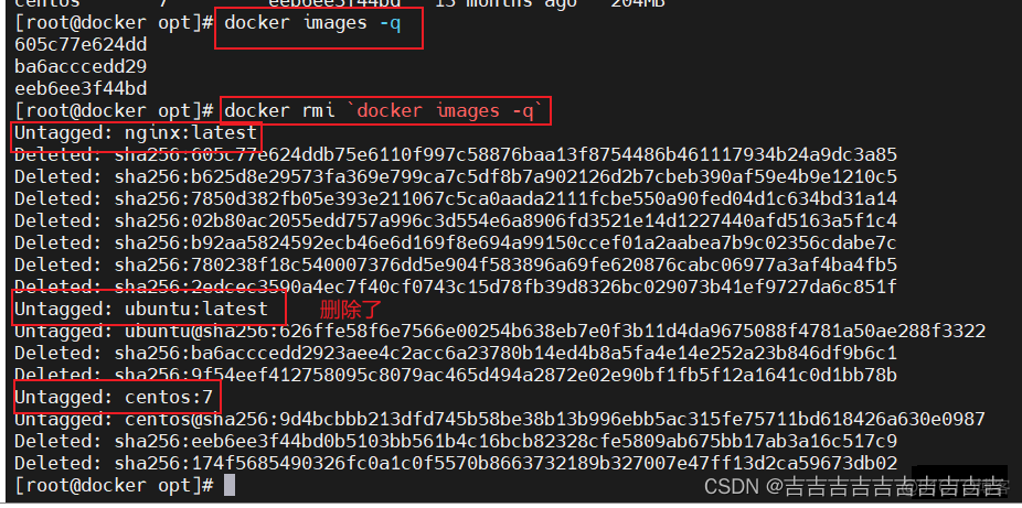 docker nginx查看是否启动成功 docker查看nginx版本_bash_11