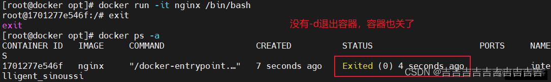 docker nginx查看是否启动成功 docker查看nginx版本_bash_22