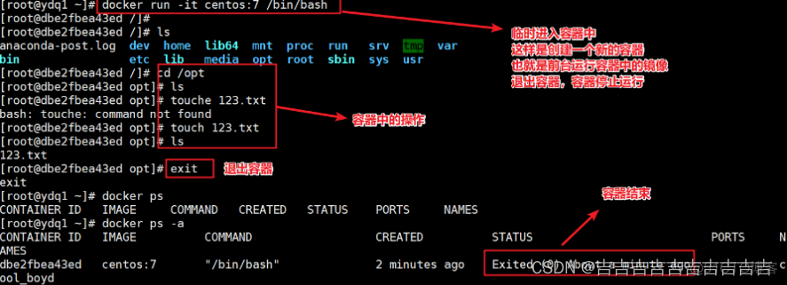 docker nginx查看是否启动成功 docker查看nginx版本_bash_29