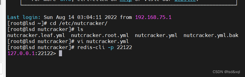 rspringmvc lettuce redis集群 redis集群cap_学习_39