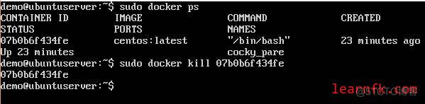 docker 查看删除容器 docker 删掉容器指令_d3_09