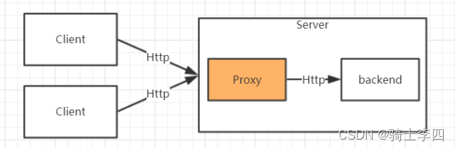 Nginx 反向代理实现_客户端_02