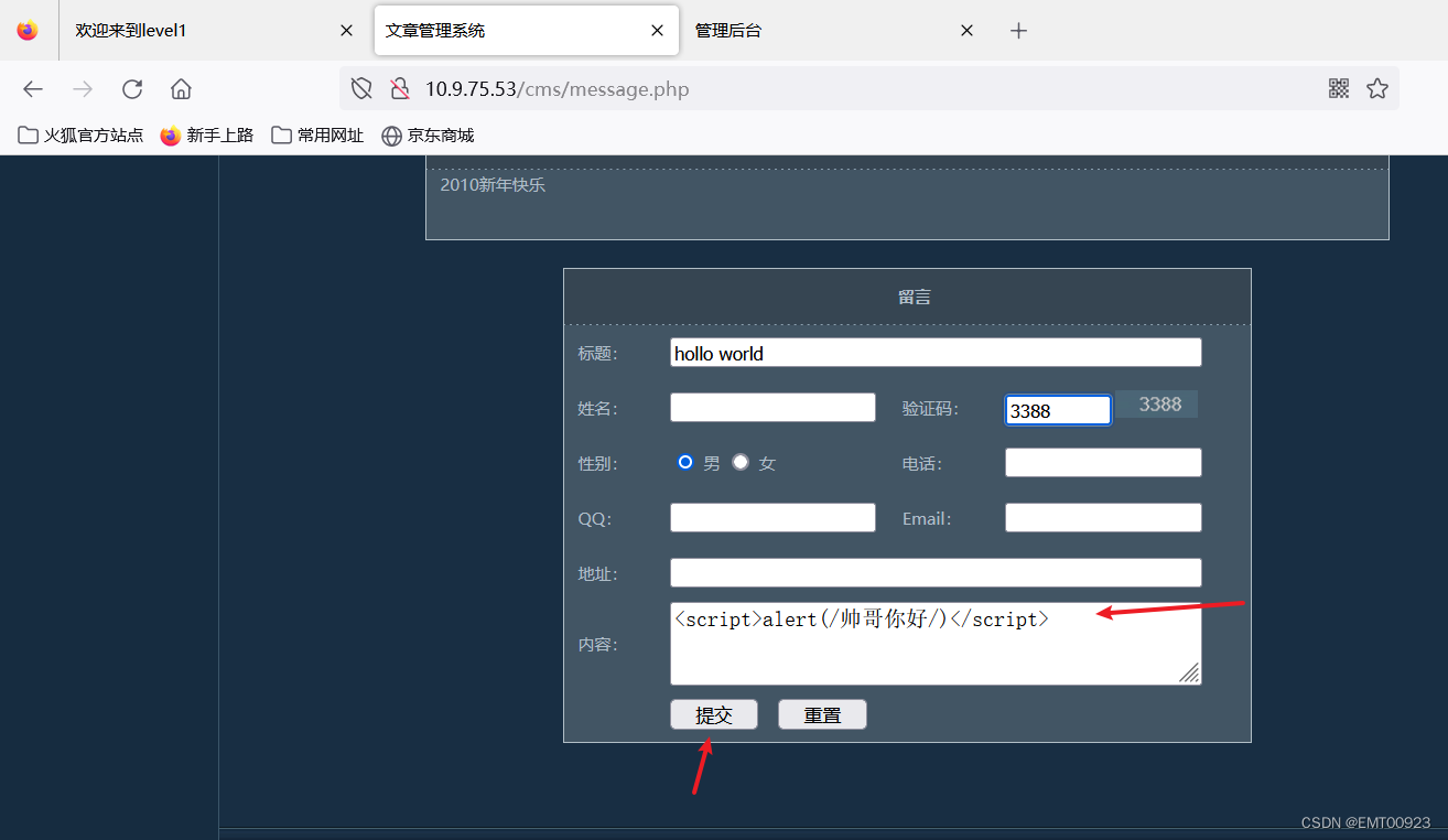 XSS盲打练习（简单认识反射型、存储型XSS和cookie欺骗）_CMS_03