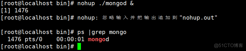 linux 下 mongodb 查询数据库表 linux查询mongodb版本_数据库_09