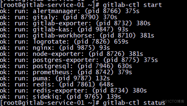 Gitlab 主从搭建搭建_初始化_04