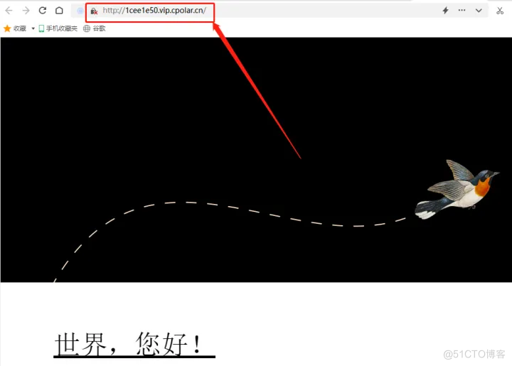 如何使用本地电脑搭建一个属于自己的网站 _内网穿透_20