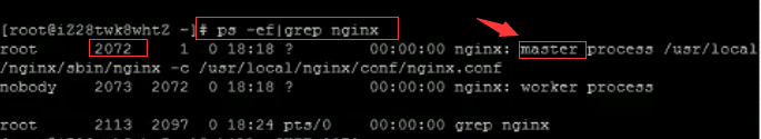 Linux 下Nginx启动_重启