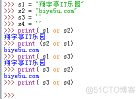 python 与或逻辑 python逻辑或的符号_空字符串_07