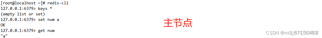 redis的集群和主从 redis主从属于集群吗_大数据_17