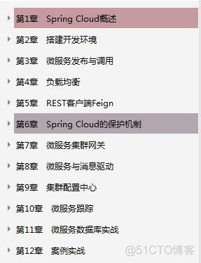 spring cloud微服务架构 Spring Cloud微服务架构实战 PDF 下载_springcloud微服务_02