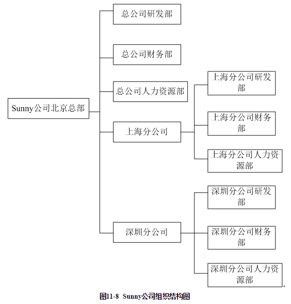 某公司组织架构 某公司组织结构_某公司组织架构