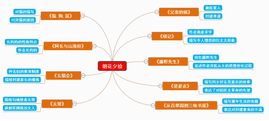 思维导图组织架构 思维导图组织结构图_思维导图_03