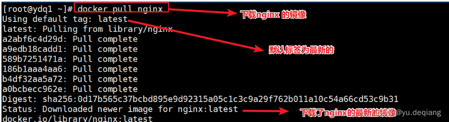 docker search images 显示版本 docker lastest 怎么查具体版本号_nginx_02