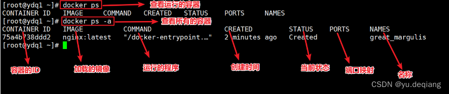 docker search images 显示版本 docker lastest 怎么查具体版本号_docker_20