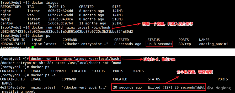 docker search images 显示版本 docker lastest 怎么查具体版本号_docker_22