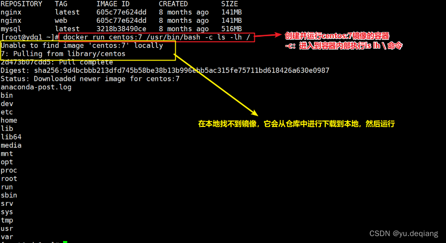 docker search images 显示版本 docker lastest 怎么查具体版本号_nginx_23