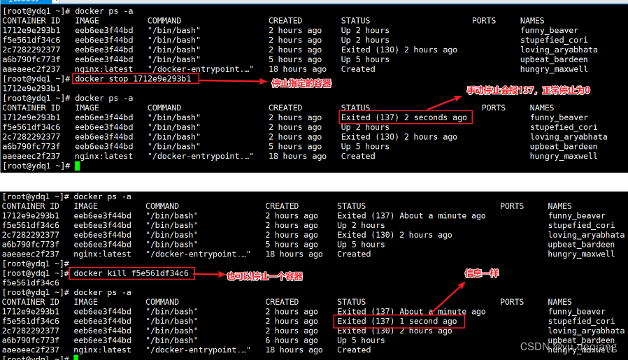 docker search images 显示版本 docker lastest 怎么查具体版本号_docker_25