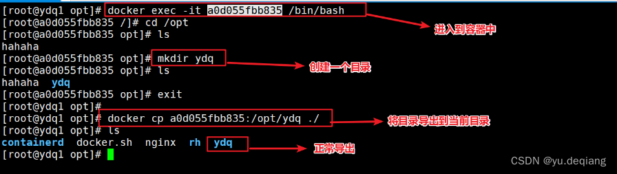 docker search images 显示版本 docker lastest 怎么查具体版本号_nginx_33