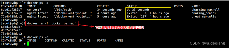 docker search images 显示版本 docker lastest 怎么查具体版本号_bash_37