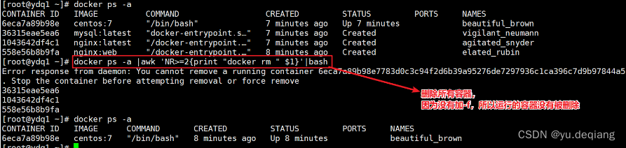 docker search images 显示版本 docker lastest 怎么查具体版本号_nginx_38