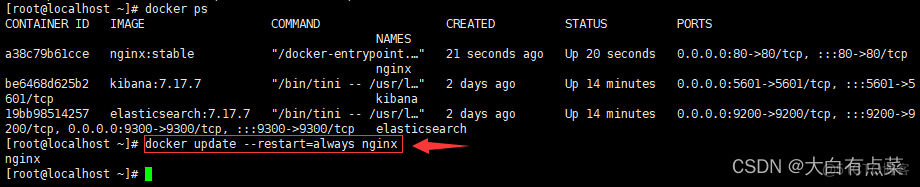 docker nginx 怎么查看IP docker查看nginx版本_nginx_47