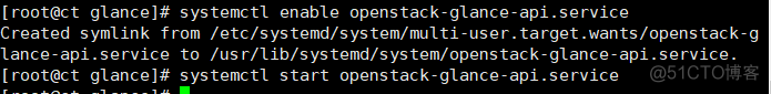 OpenStack常见故障 openstack glance_运维_13