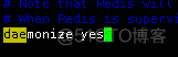 Redis分布式数据存储 redis的分布式_redis_16