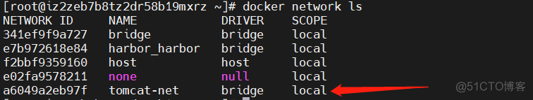 docker run相互通信 docker之间如何通信_container_22