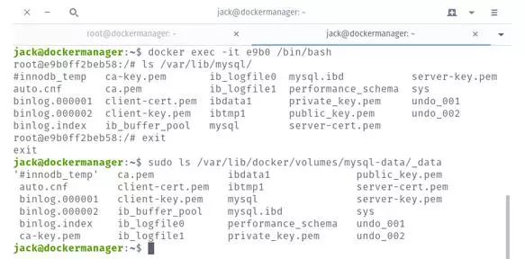 docker 容器和主机 docker主机与容器互通_mysql_05