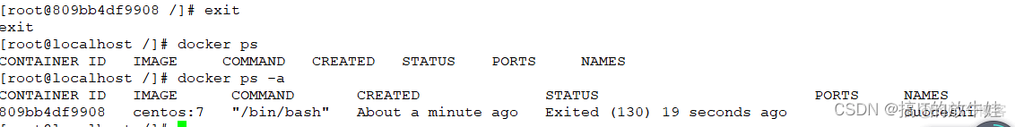 docker属于哪一类虚拟化 docker算虚拟化吗_运维_13