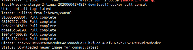 docker部署ceph集群 多MDS docker consul集群_docker部署ceph集群 多MDS